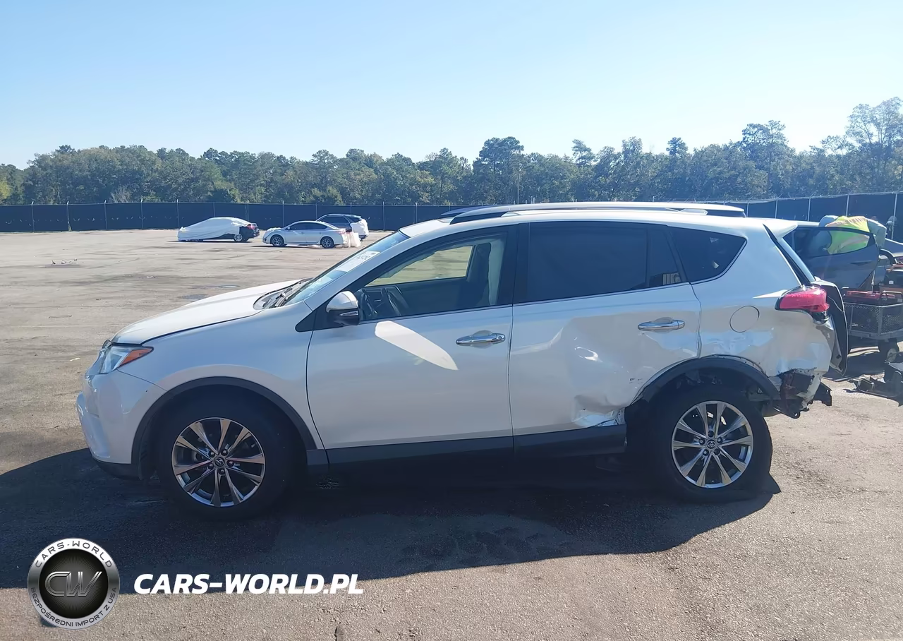 2017 Toyota Rav4 VIN:3TMDFREV3HJ154303 - 15