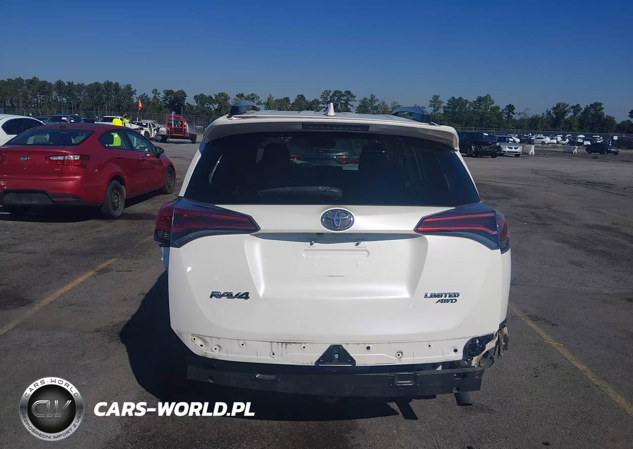2017 Toyota Rav4 VIN:3TMDFREV3HJ154303 - 17