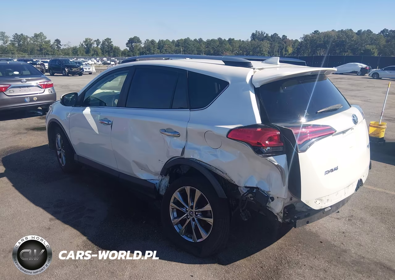 2017 Toyota Rav4 VIN:3TMDFREV3HJ154303 - 3