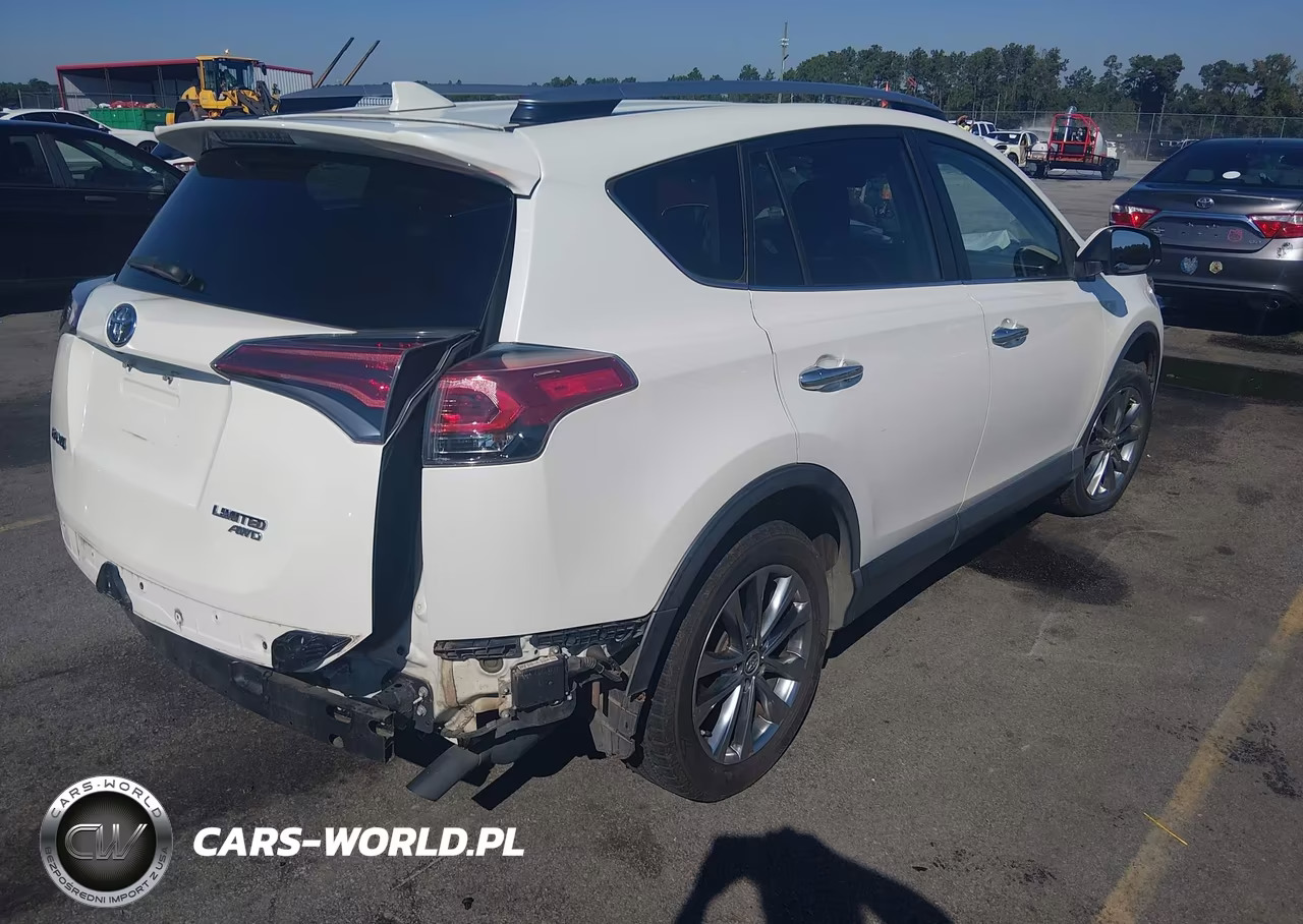 2017 Toyota Rav4 VIN:3TMDFREV3HJ154303 - 4