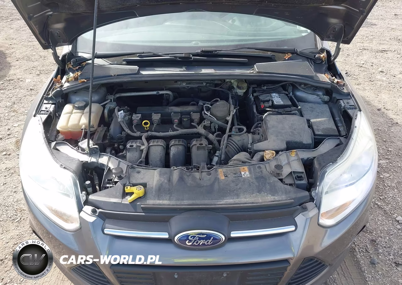 2014 Ford Focus Se VIN:1FADP3F27EL418851 - 10