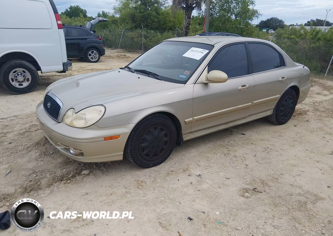 2004 Hyundai Sonata VIN:KMHWF25S84A052888 - 2