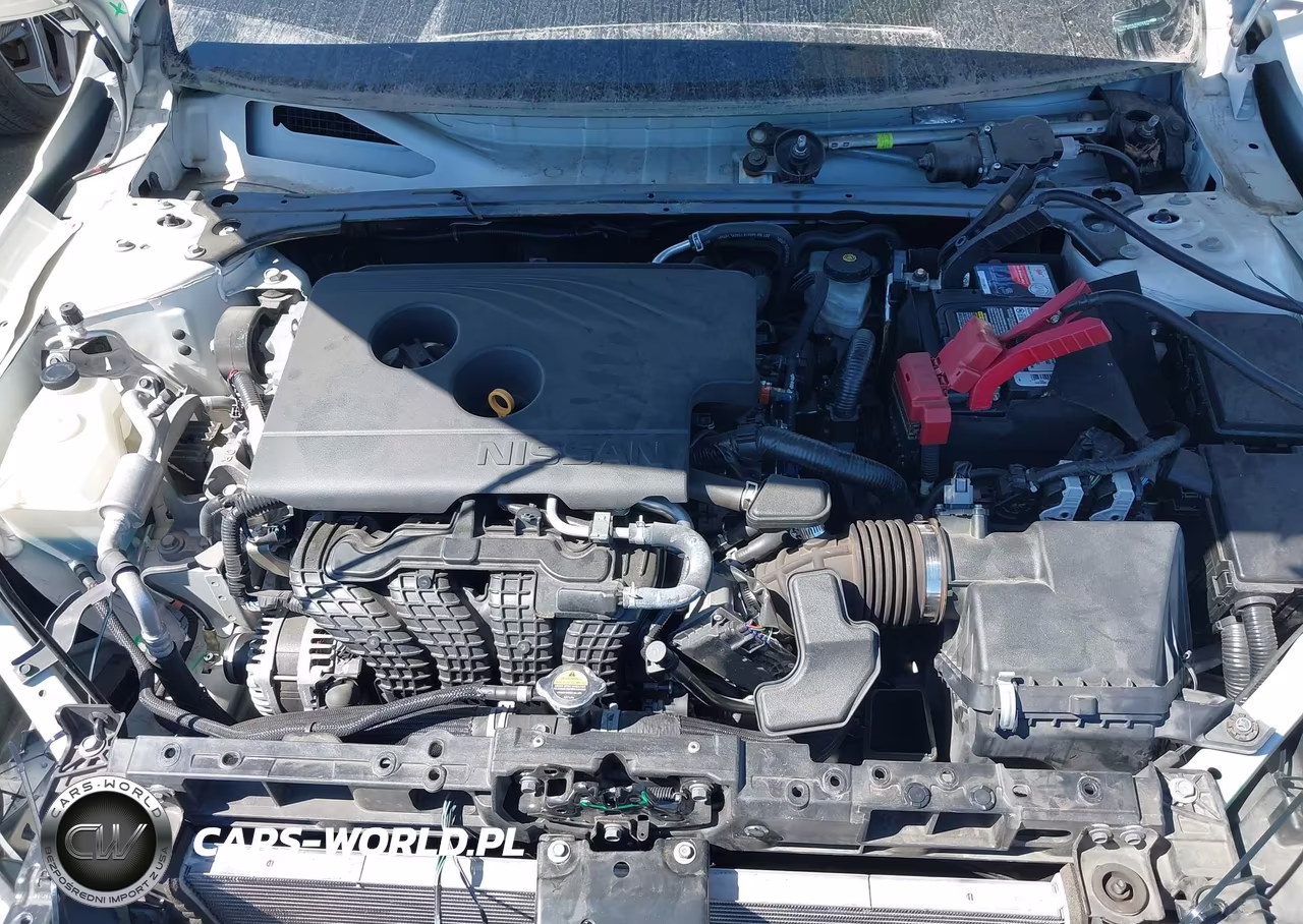 2019 Nissan Altima 2.5 Sv VIN:1N4BL4DV0KC217794 - 10
