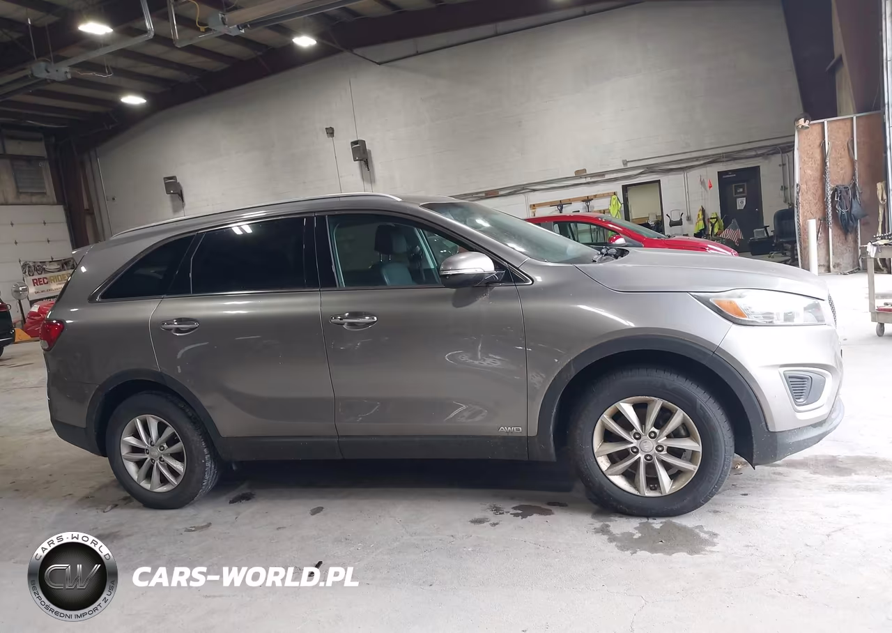 2017 Kia Sorento 2.4L Lx VIN:5XYPGDA34HG273720 - 13