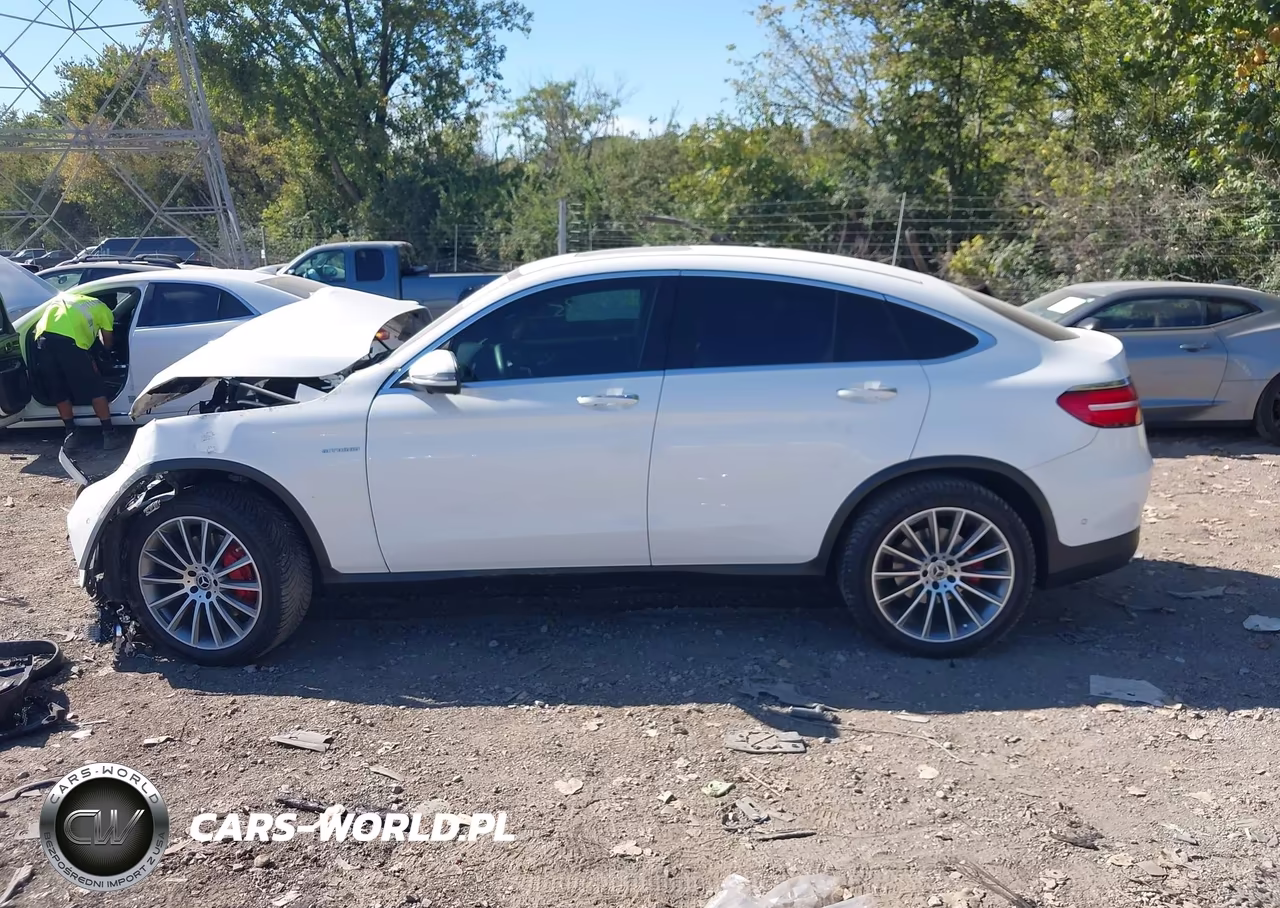 2017 Mercedes-Benz Glc 300 Coupe 4Matic VIN:WDC0J4KB7HF244234 - 15