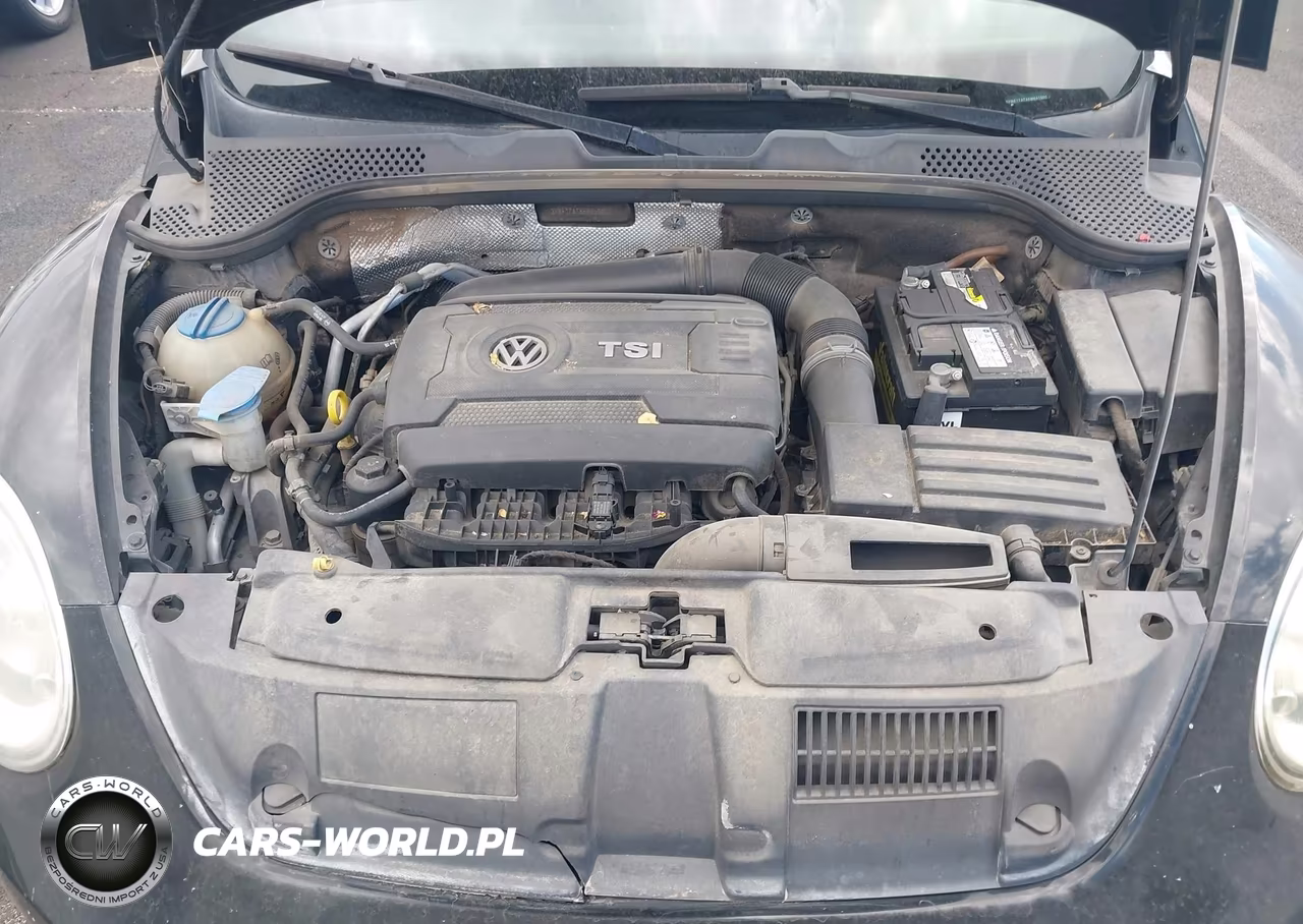 2014 Volkswagen Beetle 1.8T Entry VIN:3VWF17ATXEM641005 - 10
