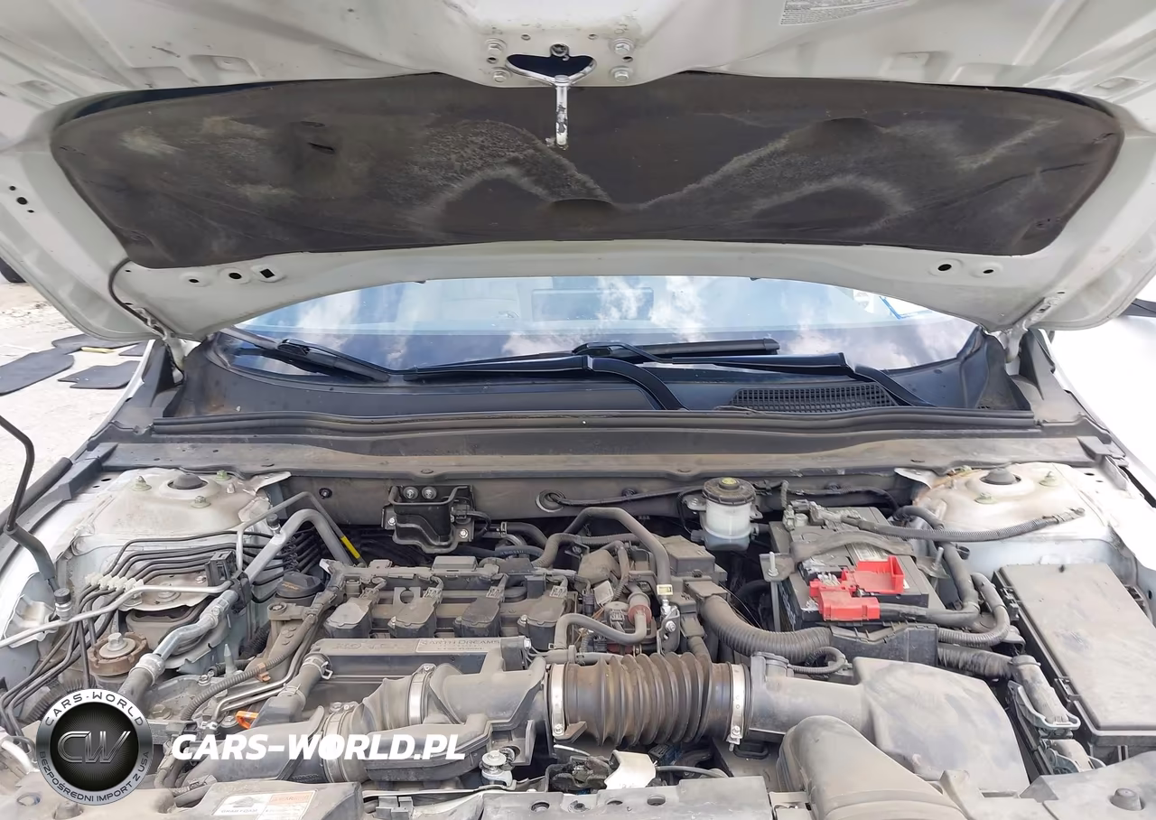 2019 Honda Accord Ex-L VIN:1HGCV1F56KA032392 - 10