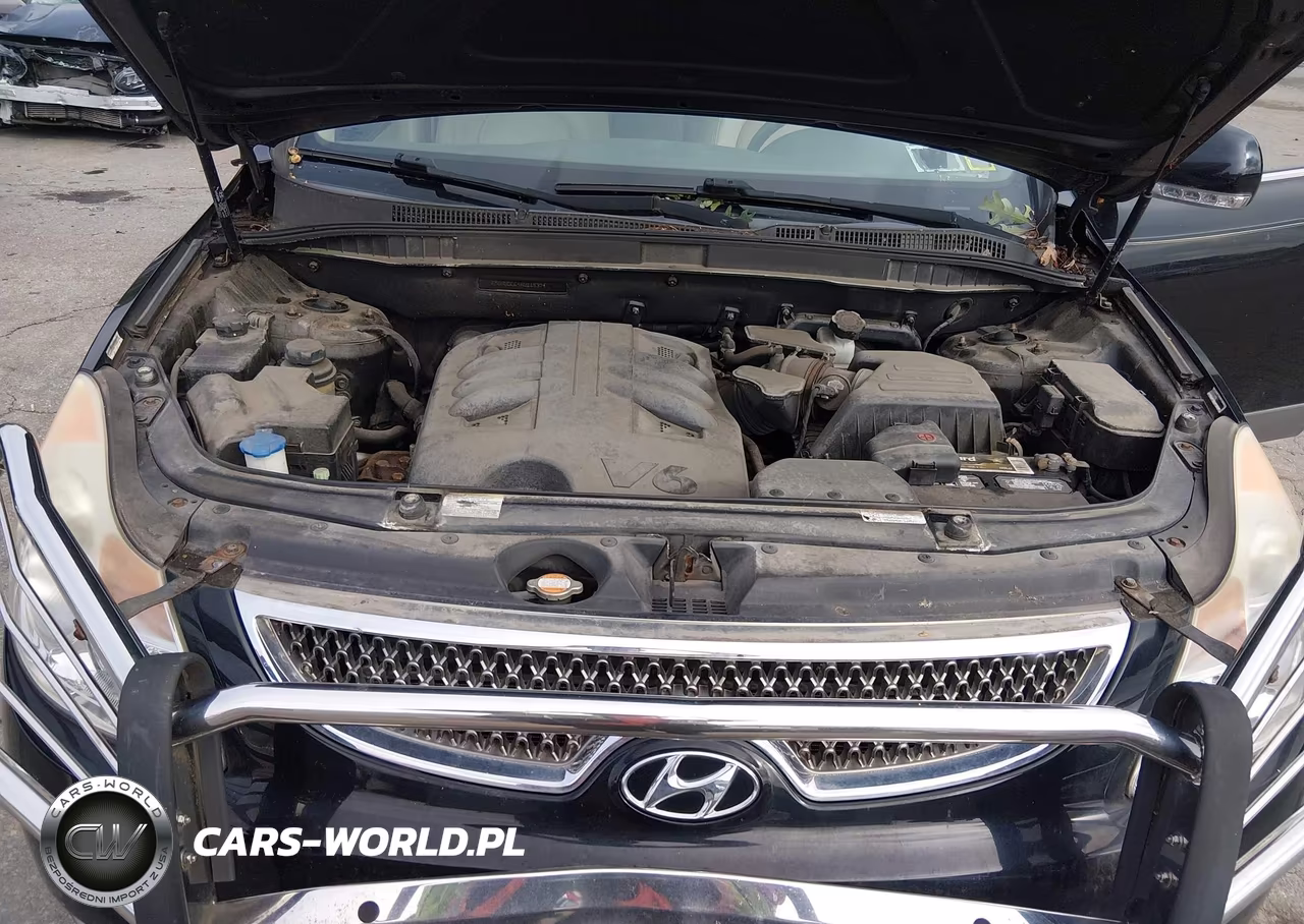 2010 Hyundai Veracruz Gls VIN:KM8NUDCC4AU115374 - 10