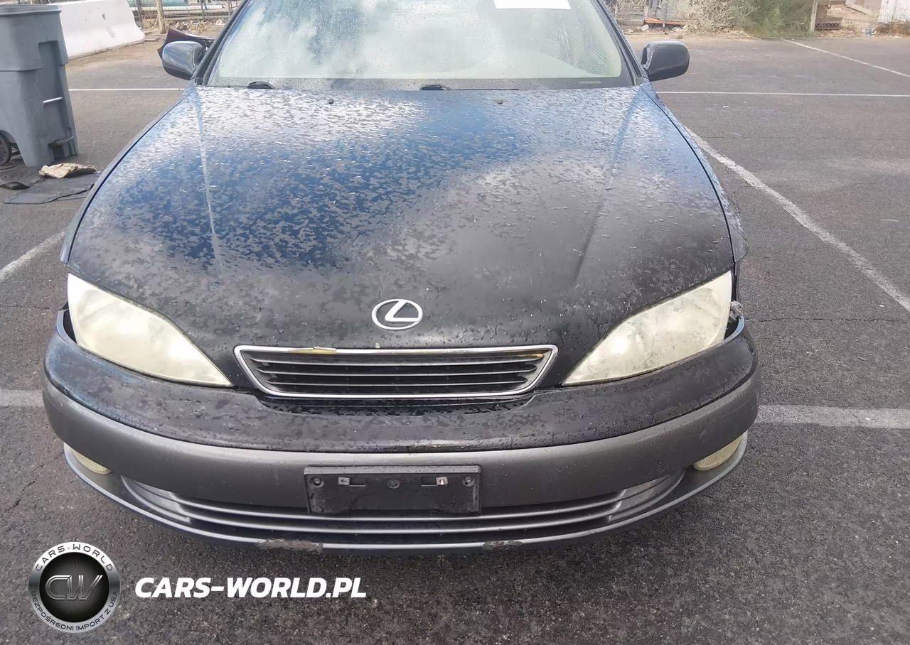 1998 Lexus Es 300 VIN:JT8BF28G8W5019703 - 10