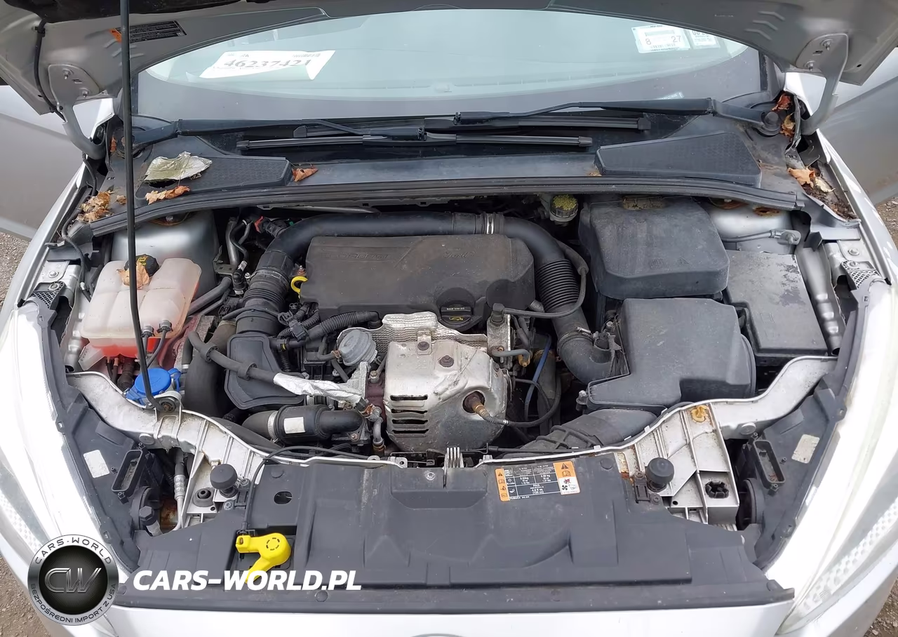 2015 Ford Focus Se VIN:1FADP3KEXFL274066 - 10