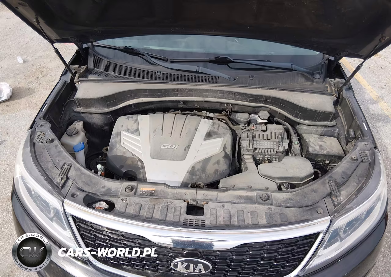 2015 Kia Sorento Lx V6 VIN:5XYKT4A78FG583374 - 10