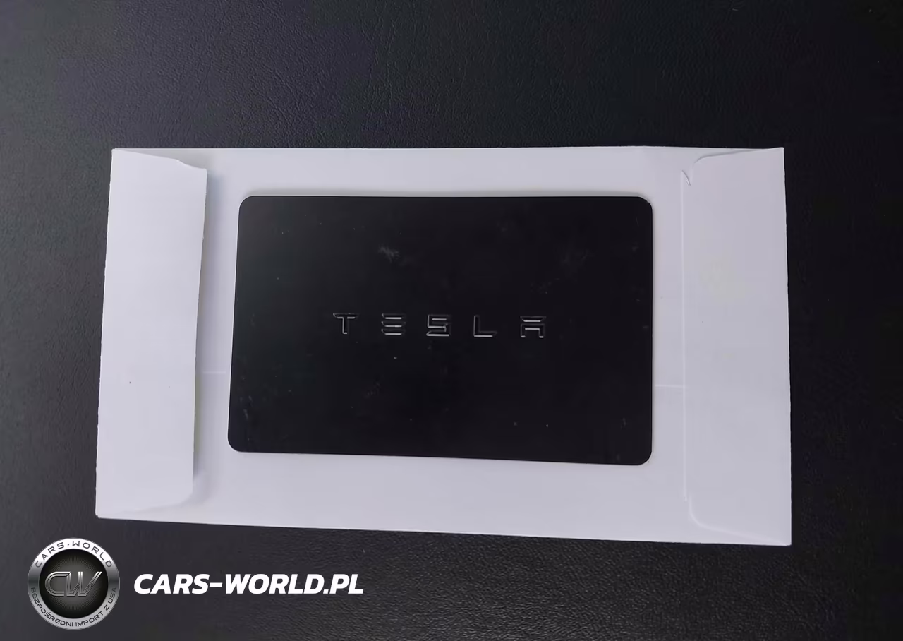 2020 Tesla Model 3 Long Range Dual Motor All-Wheel Drive VIN:5YJ3E1EB1LF667552 - 10
