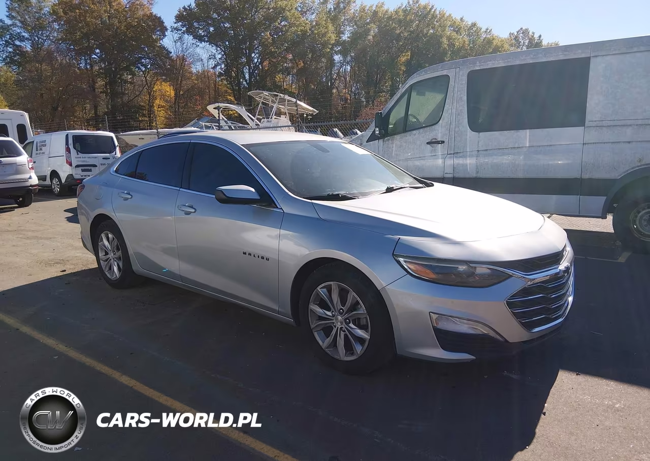2019 Chevrolet Malibu Lt VIN:1G1ZD5ST4KF215373 - 1