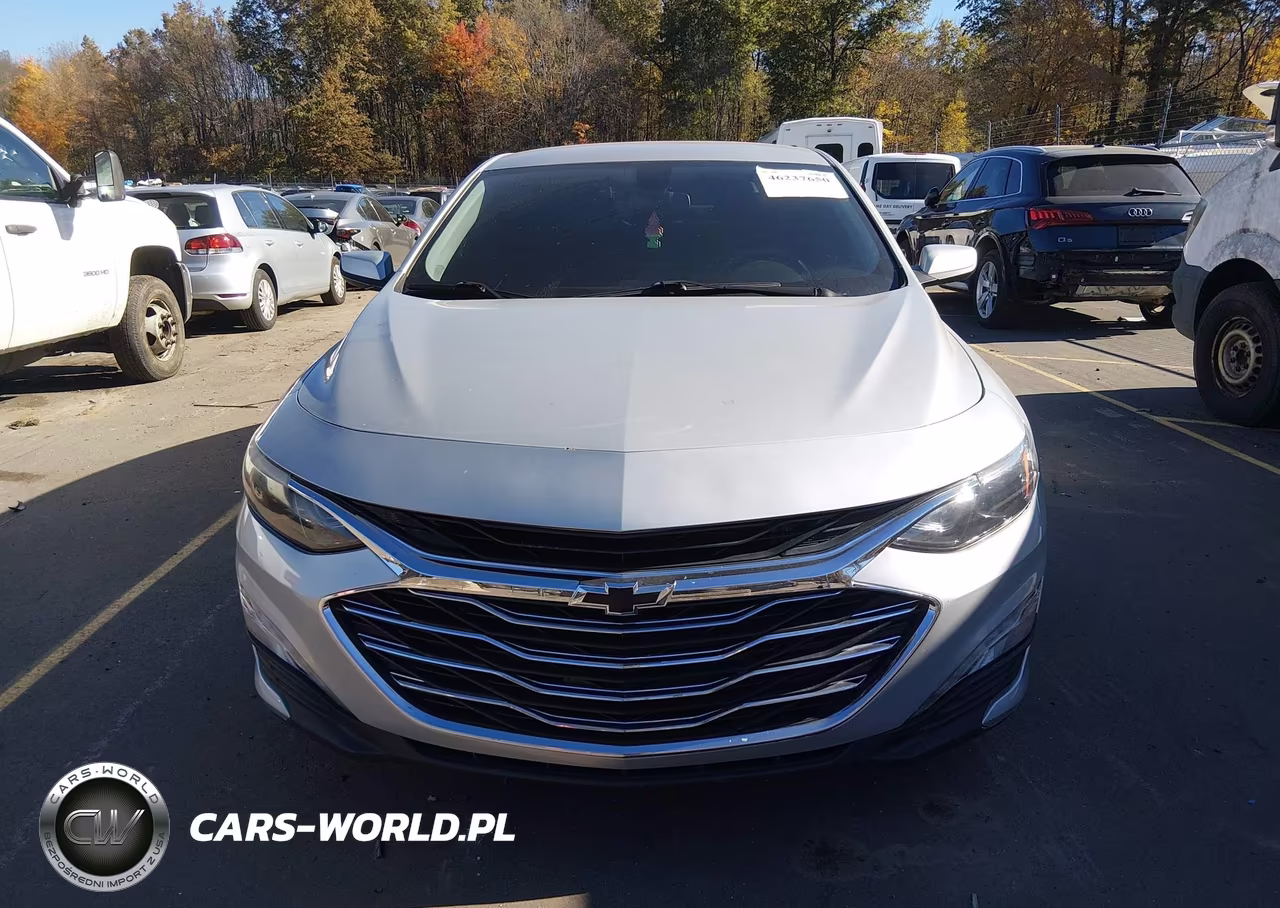 2019 Chevrolet Malibu Lt VIN:1G1ZD5ST4KF215373 - 12