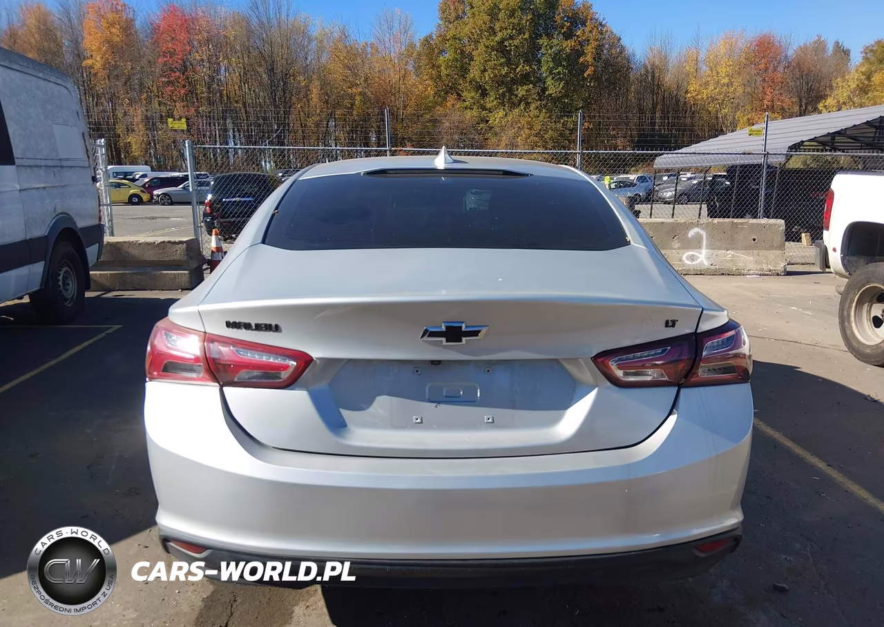 2019 Chevrolet Malibu Lt VIN:1G1ZD5ST4KF215373 - 16