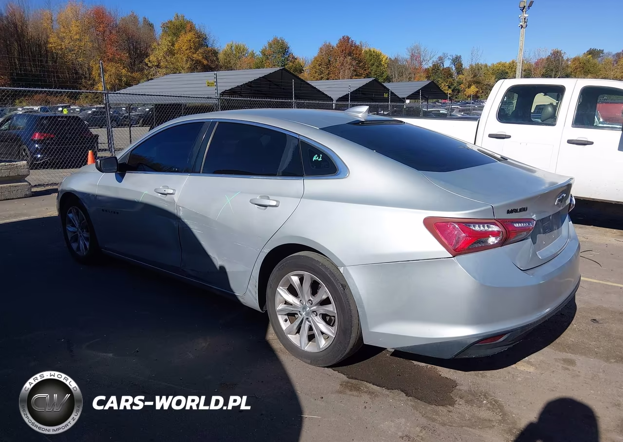 2019 Chevrolet Malibu Lt VIN:1G1ZD5ST4KF215373 - 3