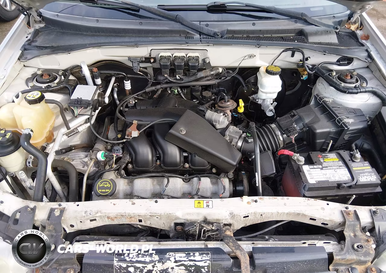 2005 Ford Escape Xlt VIN:1FMYU93115KE31552 - 10