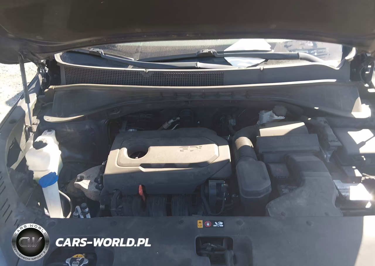 2019 Kia Sorento 2.4L Lx VIN:5XYPG4A39KG602208 - 10