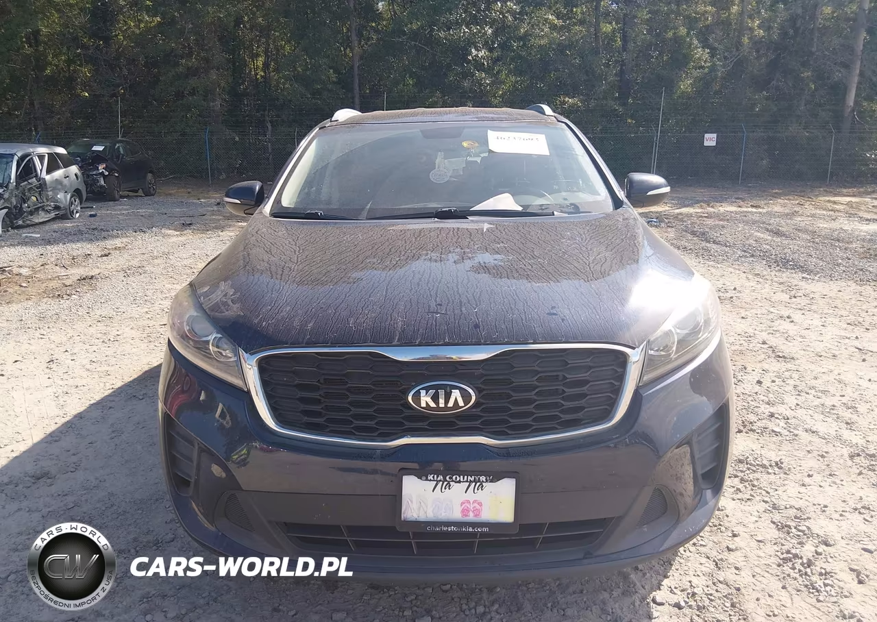 2019 Kia Sorento 2.4L Lx VIN:5XYPG4A39KG602208 - 13