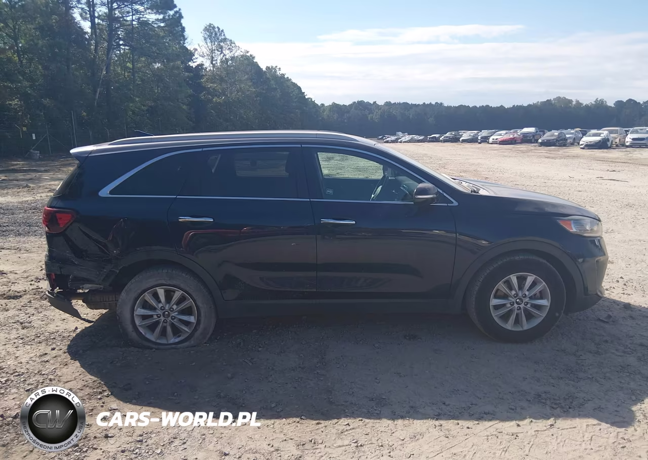 2019 Kia Sorento 2.4L Lx VIN:5XYPG4A39KG602208 - 14