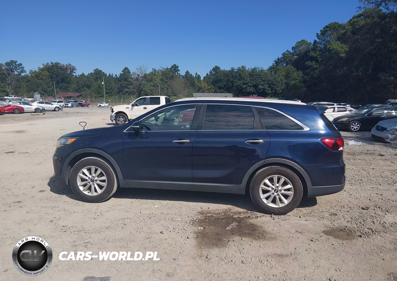 2019 Kia Sorento 2.4L Lx VIN:5XYPG4A39KG602208 - 15