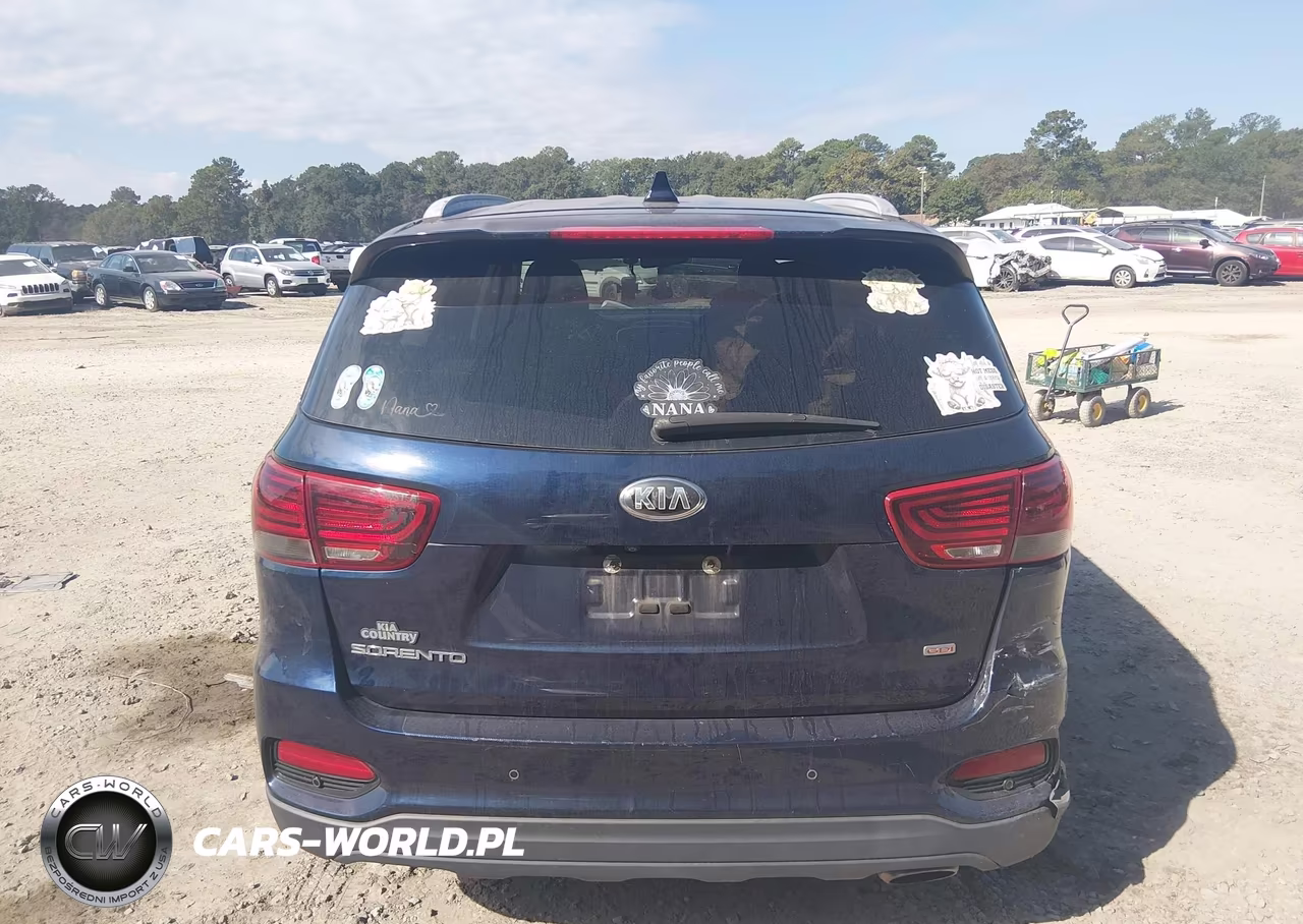 2019 Kia Sorento 2.4L Lx VIN:5XYPG4A39KG602208 - 17