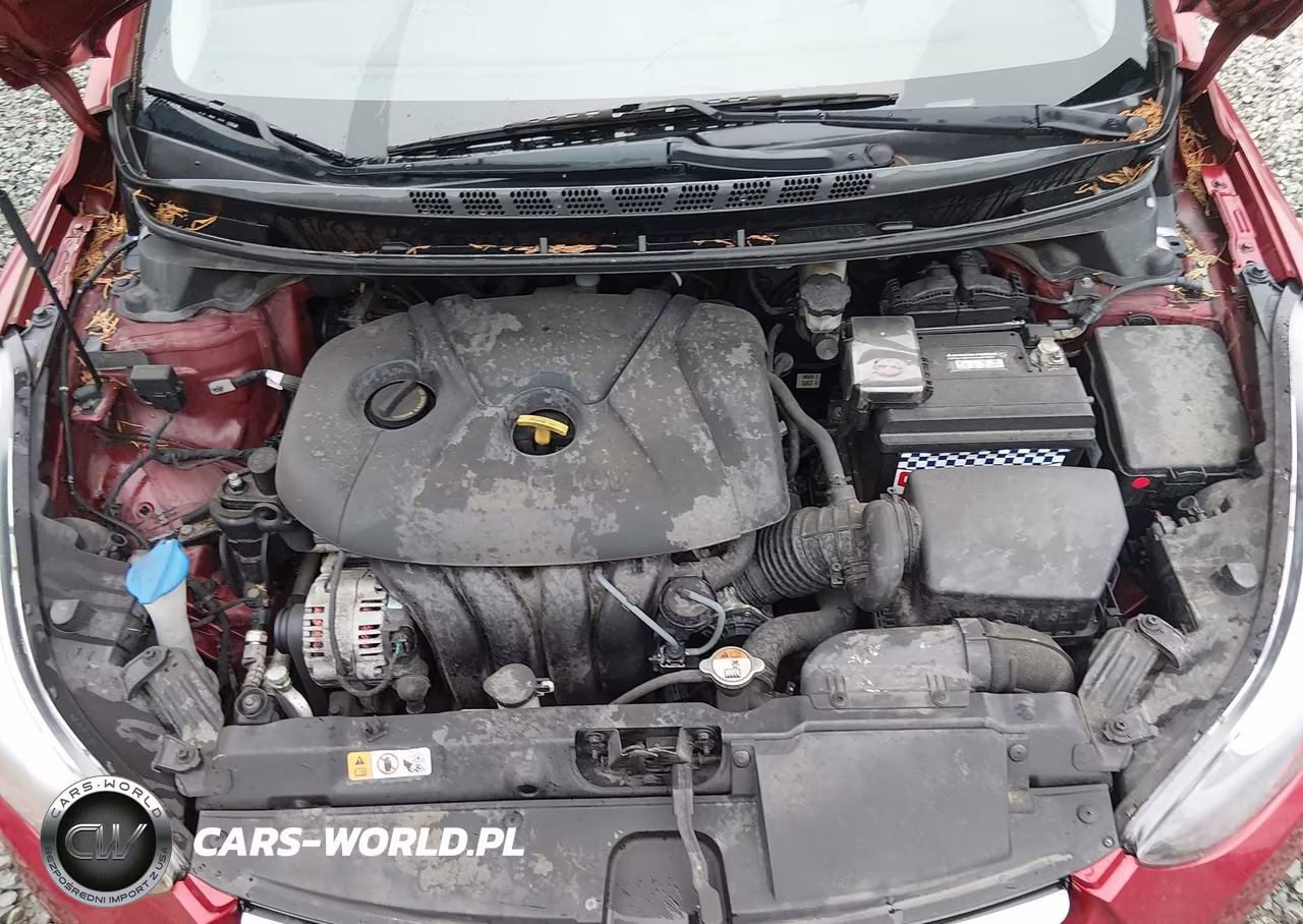2015 Hyundai Elantra Se VIN:5NPDH4AEXFH589064 - 10