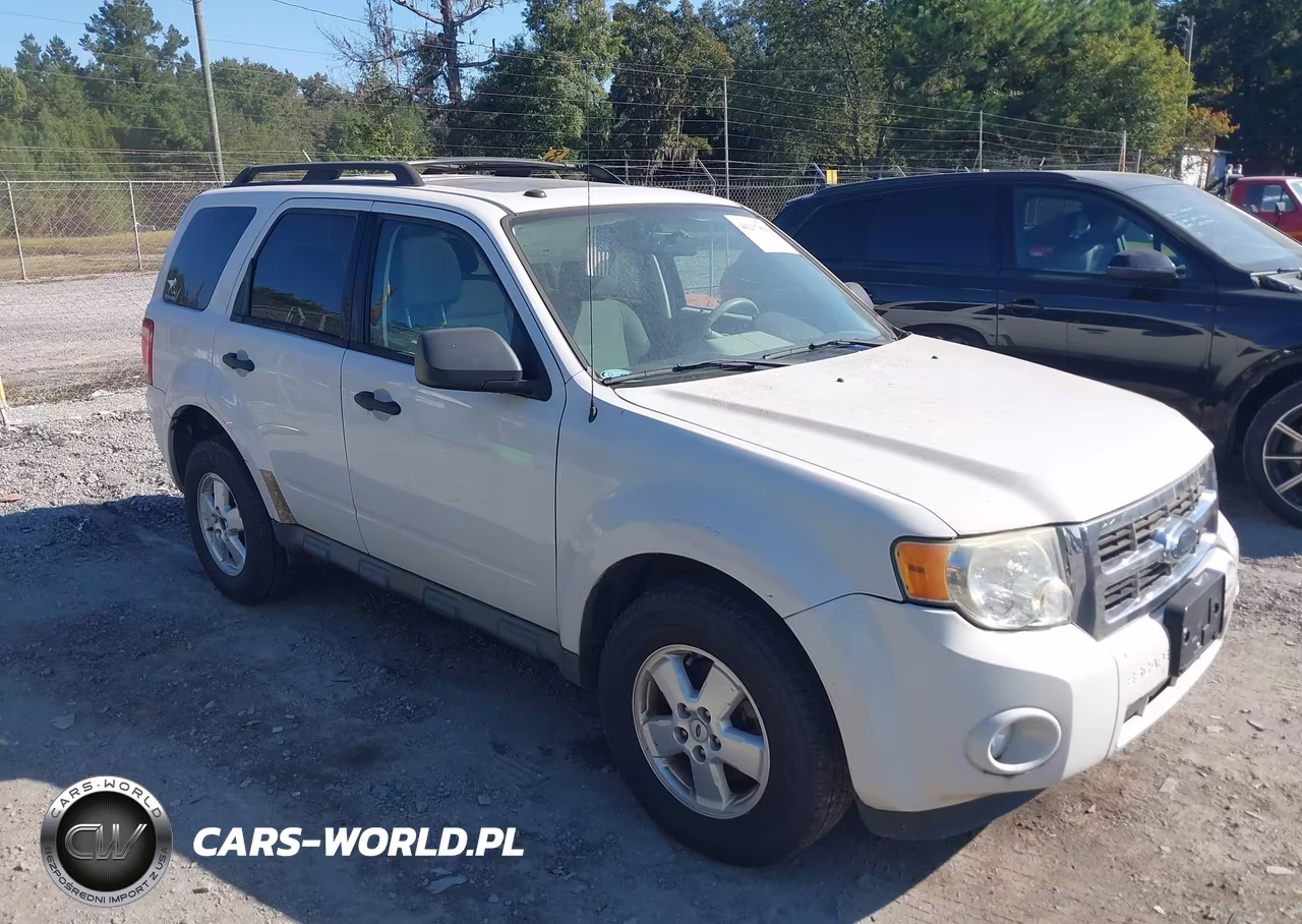 2009 Ford Escape Xlt