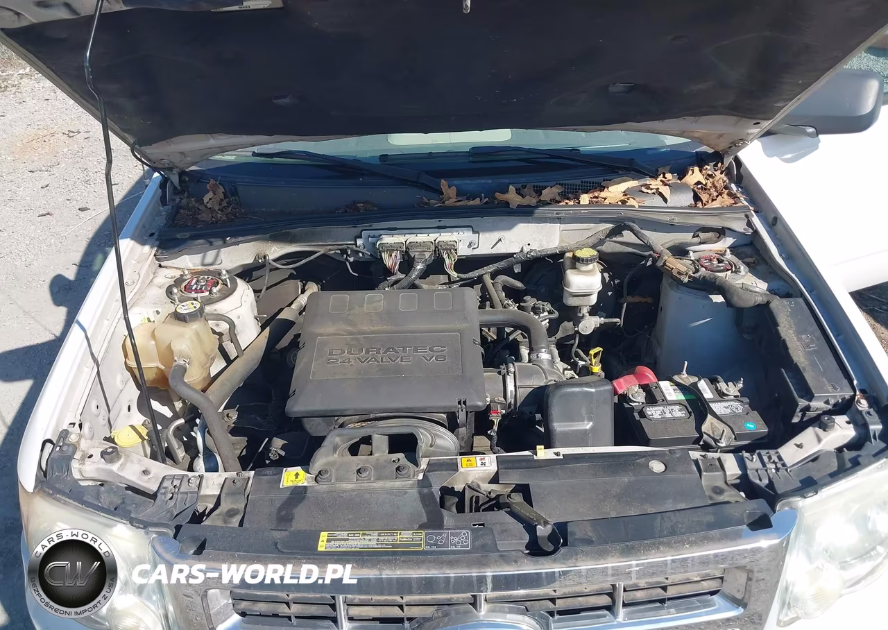 2009 Ford Escape Xlt VIN:1FMCU03G59KA43935 - 10