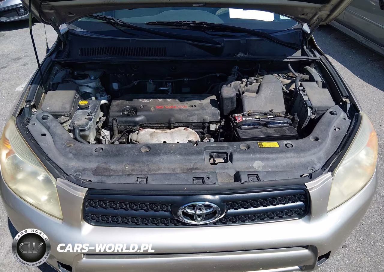 2008 Toyota Rav4 VIN:JTMZD33V986054300 - 10