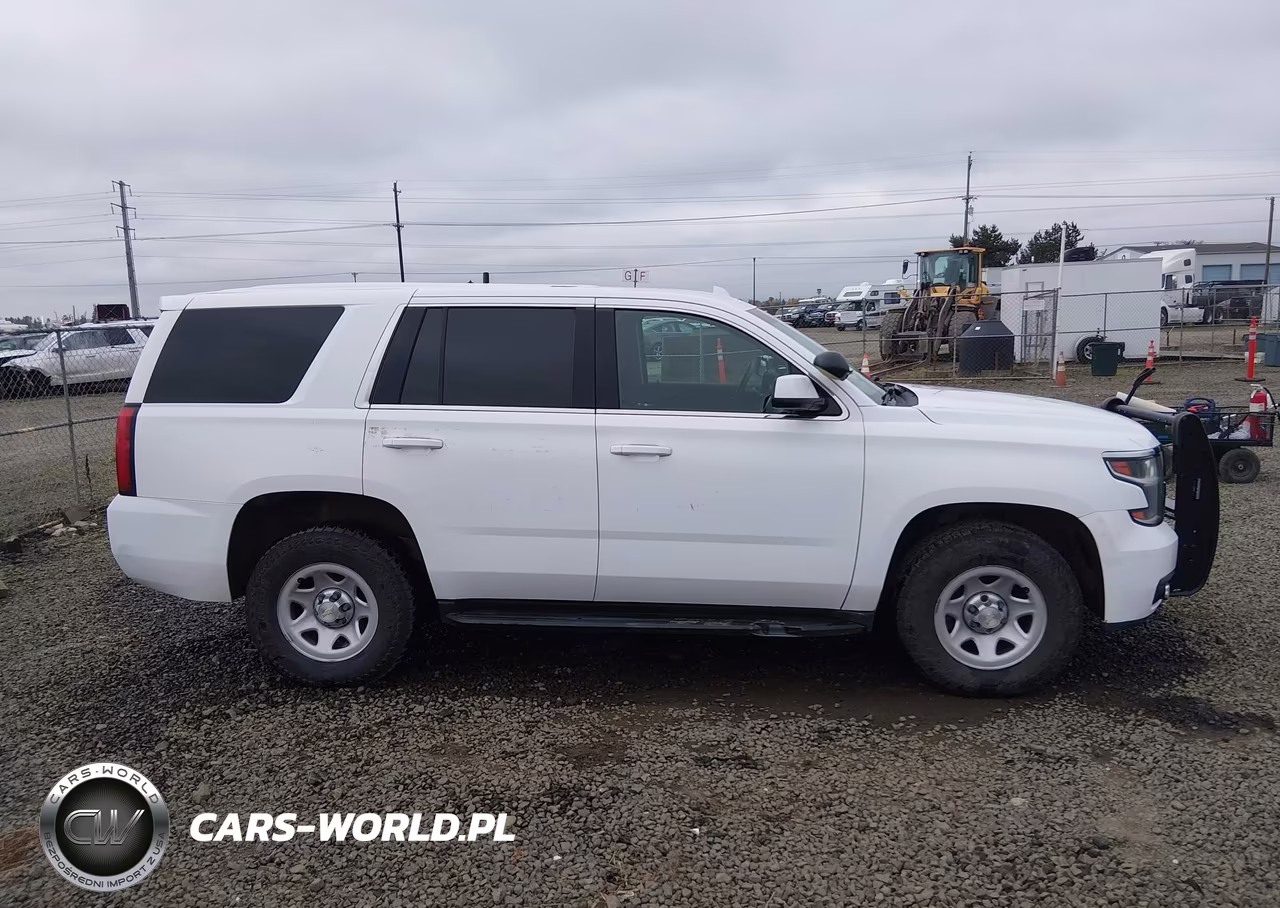 2018 Chevrolet Tahoe Commercial Fleet VIN:1GNSKFEC5JR322033 - 17