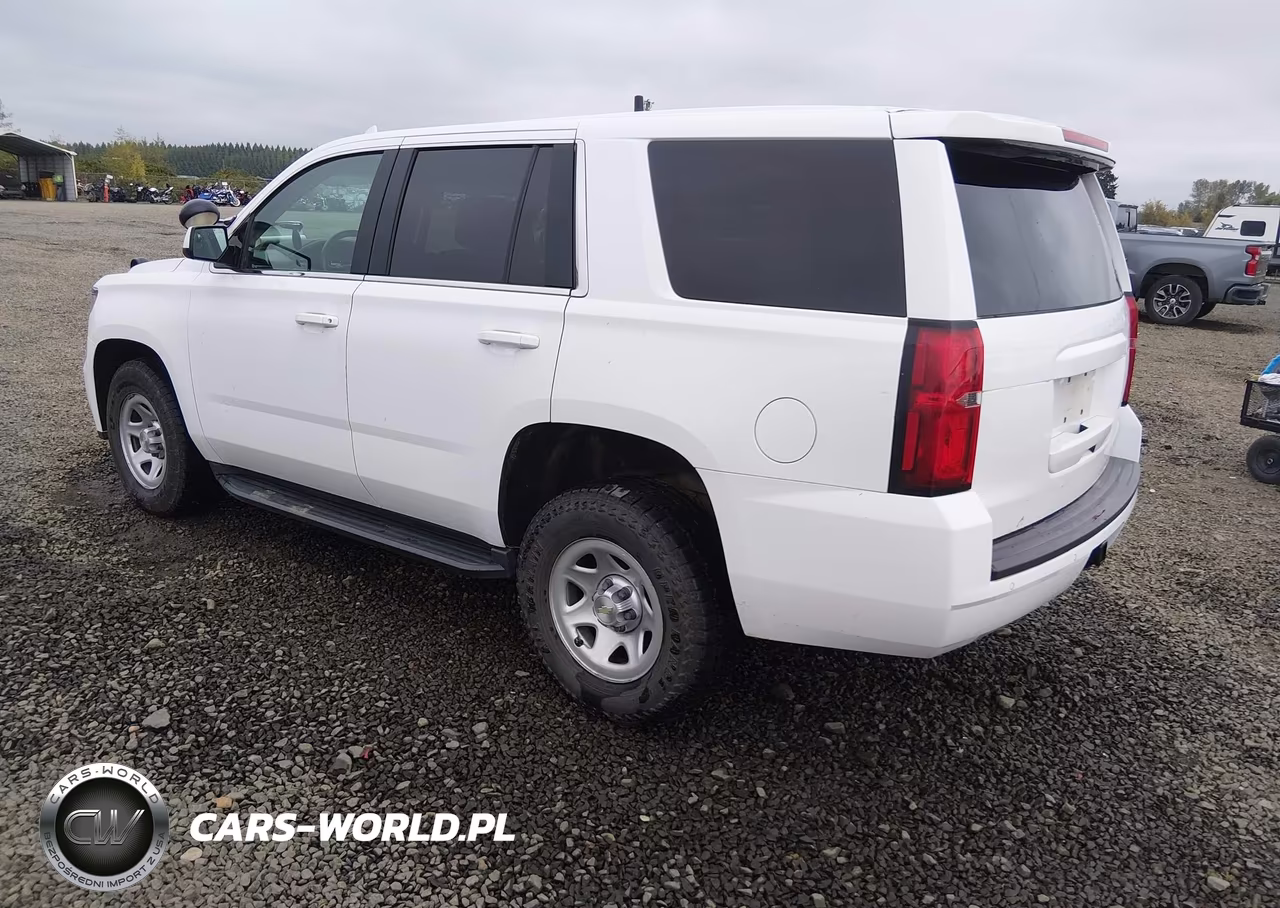 2018 Chevrolet Tahoe Commercial Fleet VIN:1GNSKFEC5JR322033 - 3