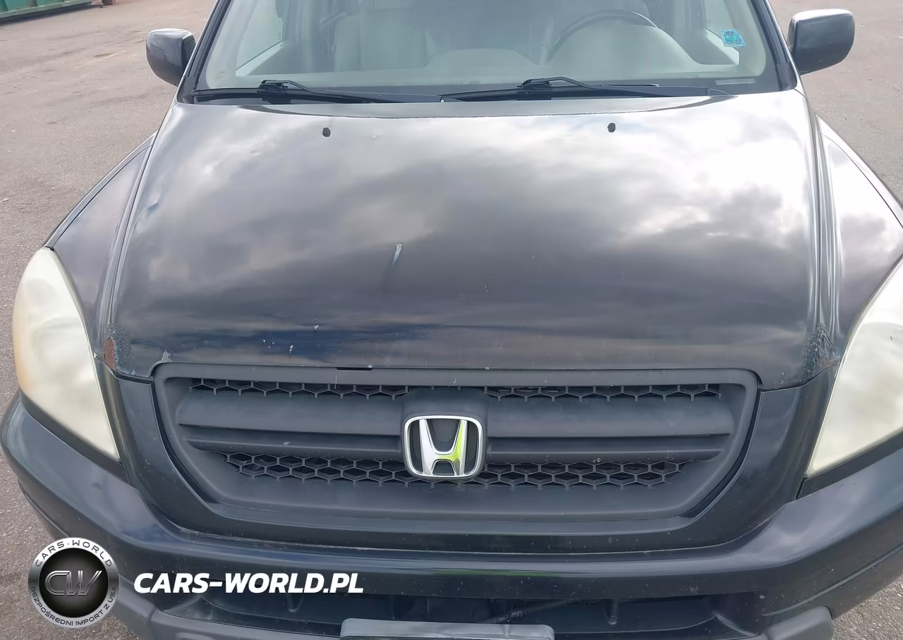 2005 Honda Pilot Ex-L VIN:5FNYF18505B038439 - 16
