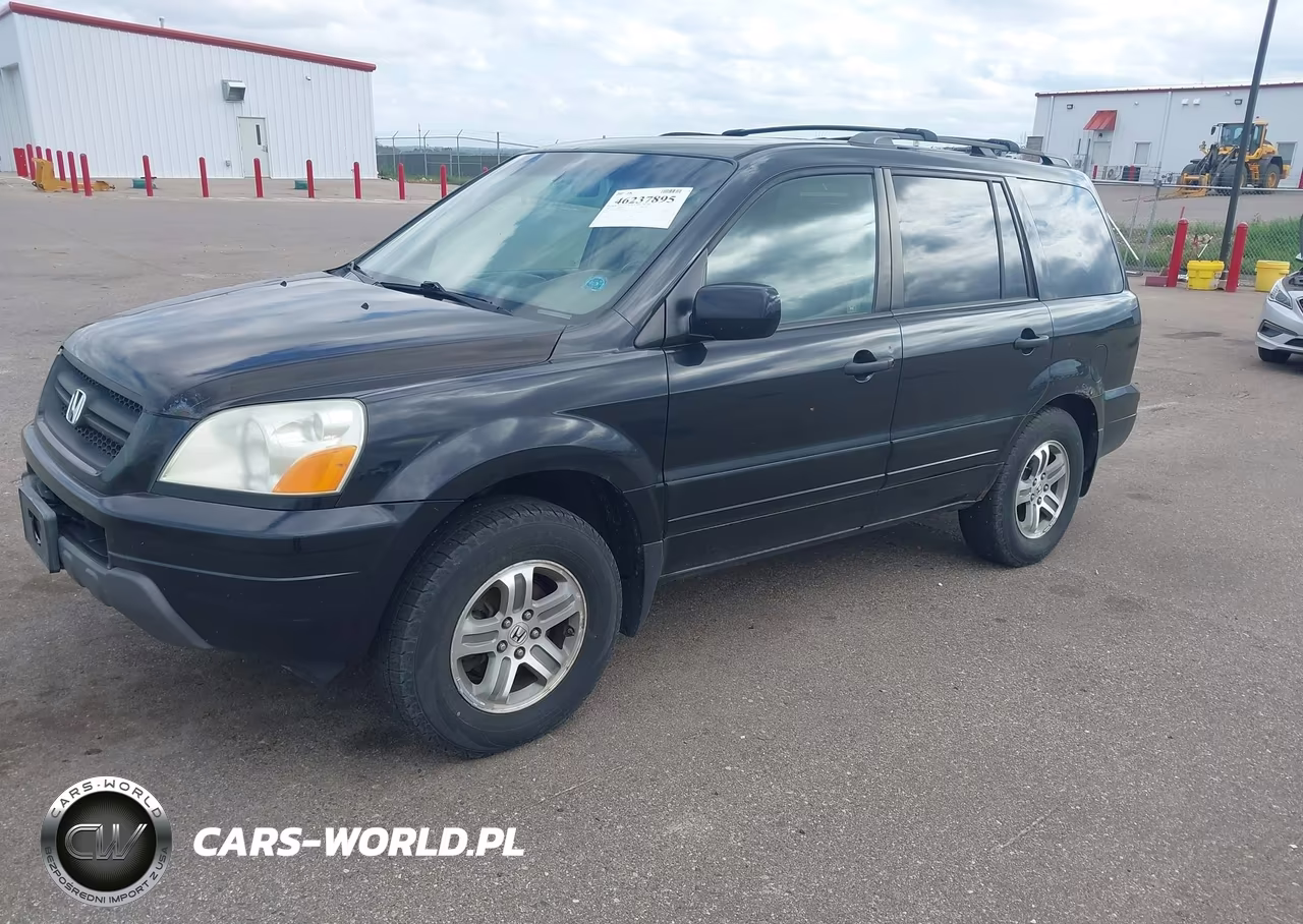 2005 Honda Pilot Ex-L VIN:5FNYF18505B038439 - 2