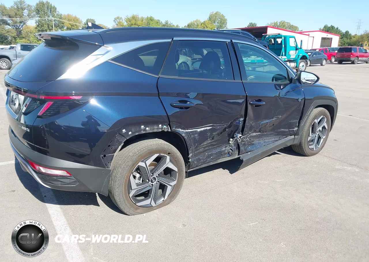 2024 Hyundai Tucson Hybrid Limited VIN:KM8JECD18RU170411 - 4
