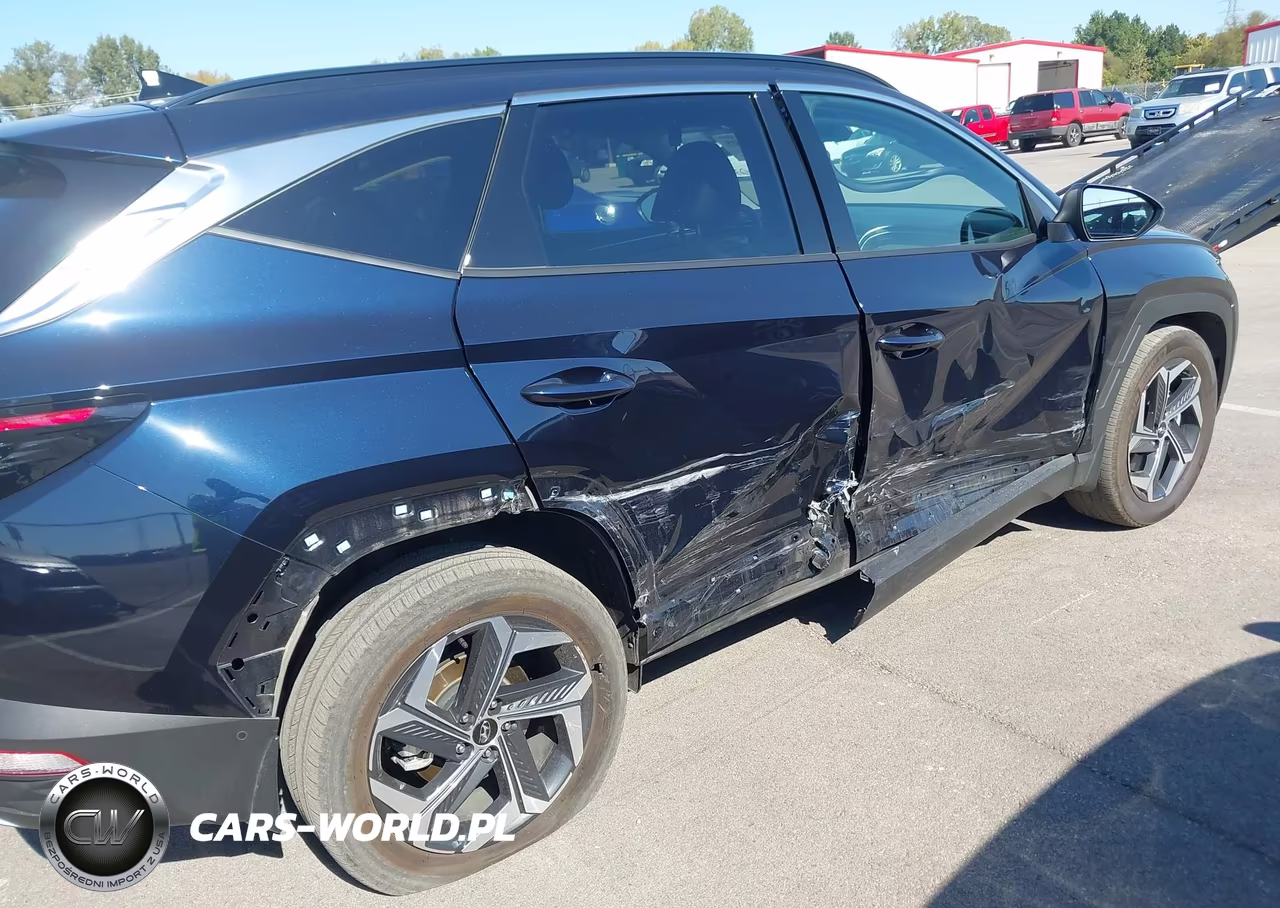 2024 Hyundai Tucson Hybrid Limited VIN:KM8JECD18RU170411 - 6