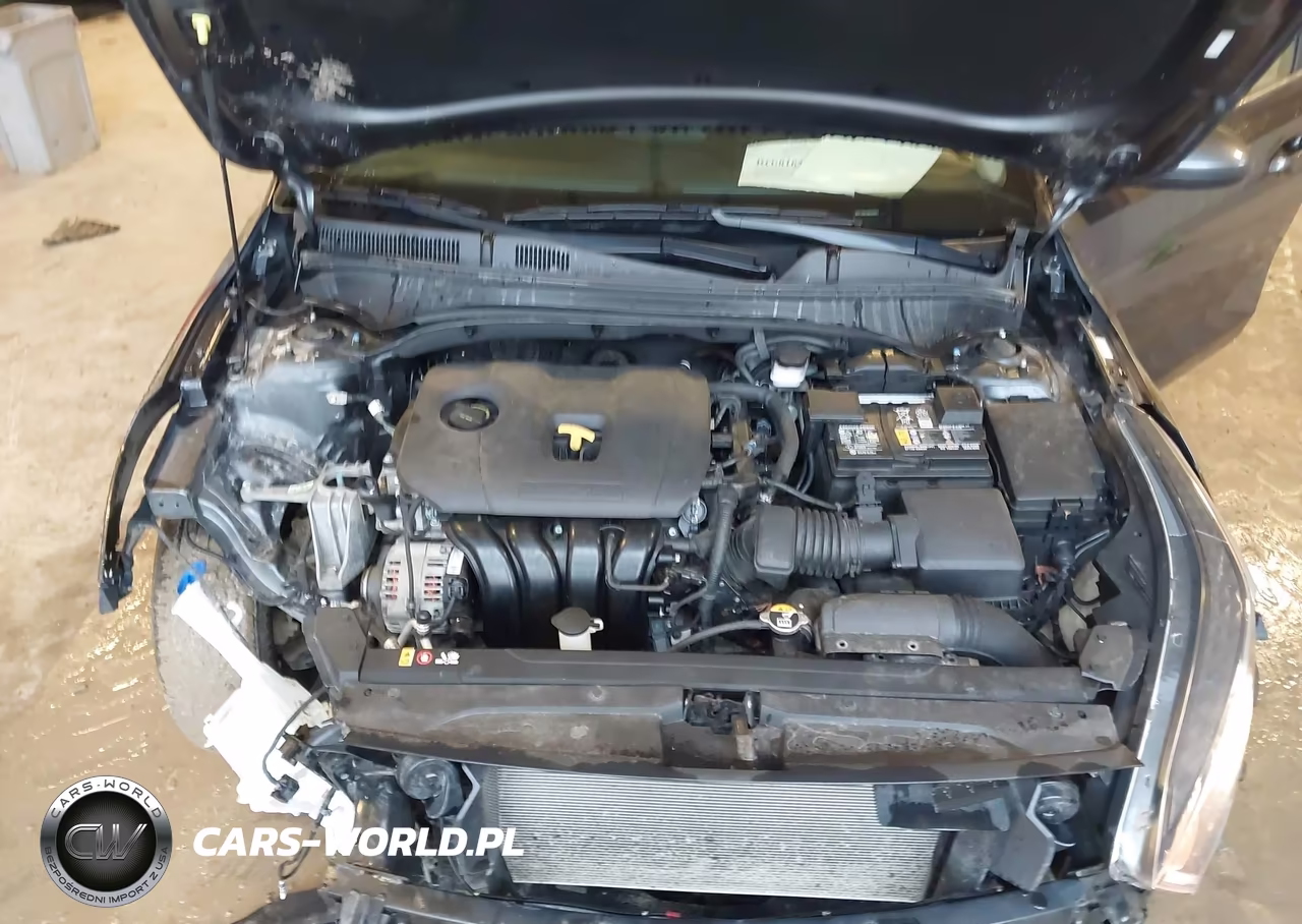 2022 Kia Forte VIN:3KPF24AD1NE502821 - 10