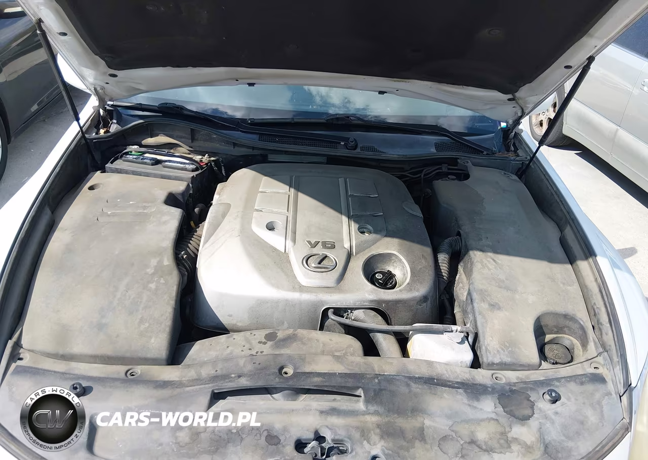 2006 Lexus Gs 300 VIN:JTHBH96S465044172 - 10