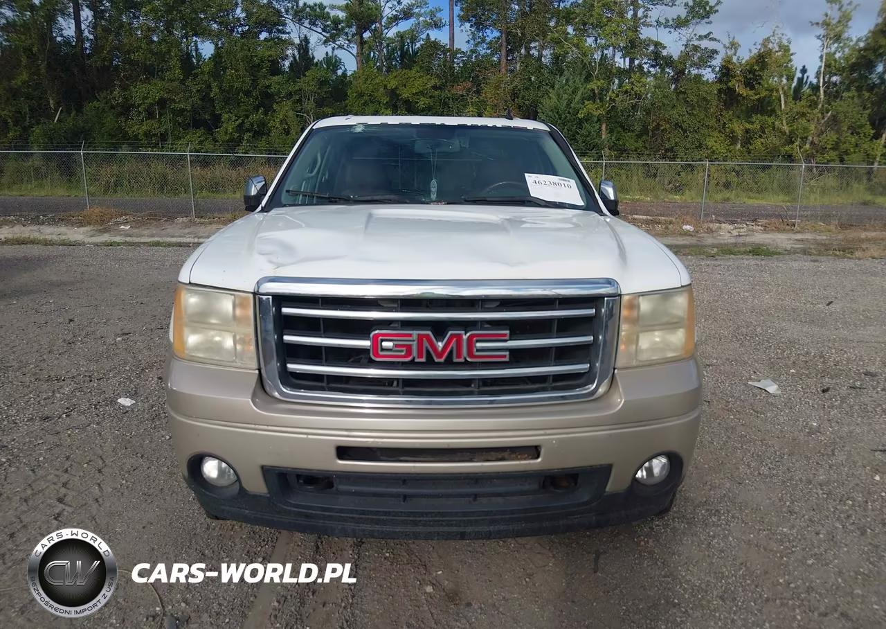 2013 GMC Sierra 1500 Slt VIN:3GTP2WE70DG309650 - 12
