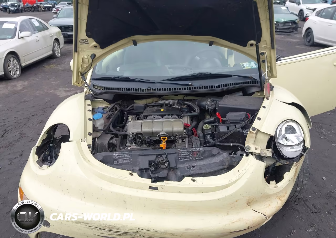 2004 Volkswagen New Beetle Gls VIN:3VWCM21YX4M311243 - 10