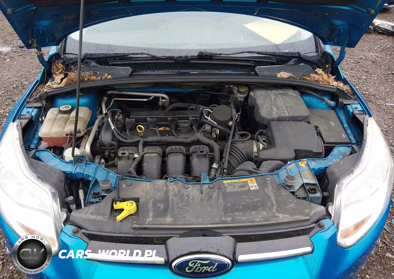 2012 Ford Focus Sel VIN:1FAHP3M28CL361416 - 10