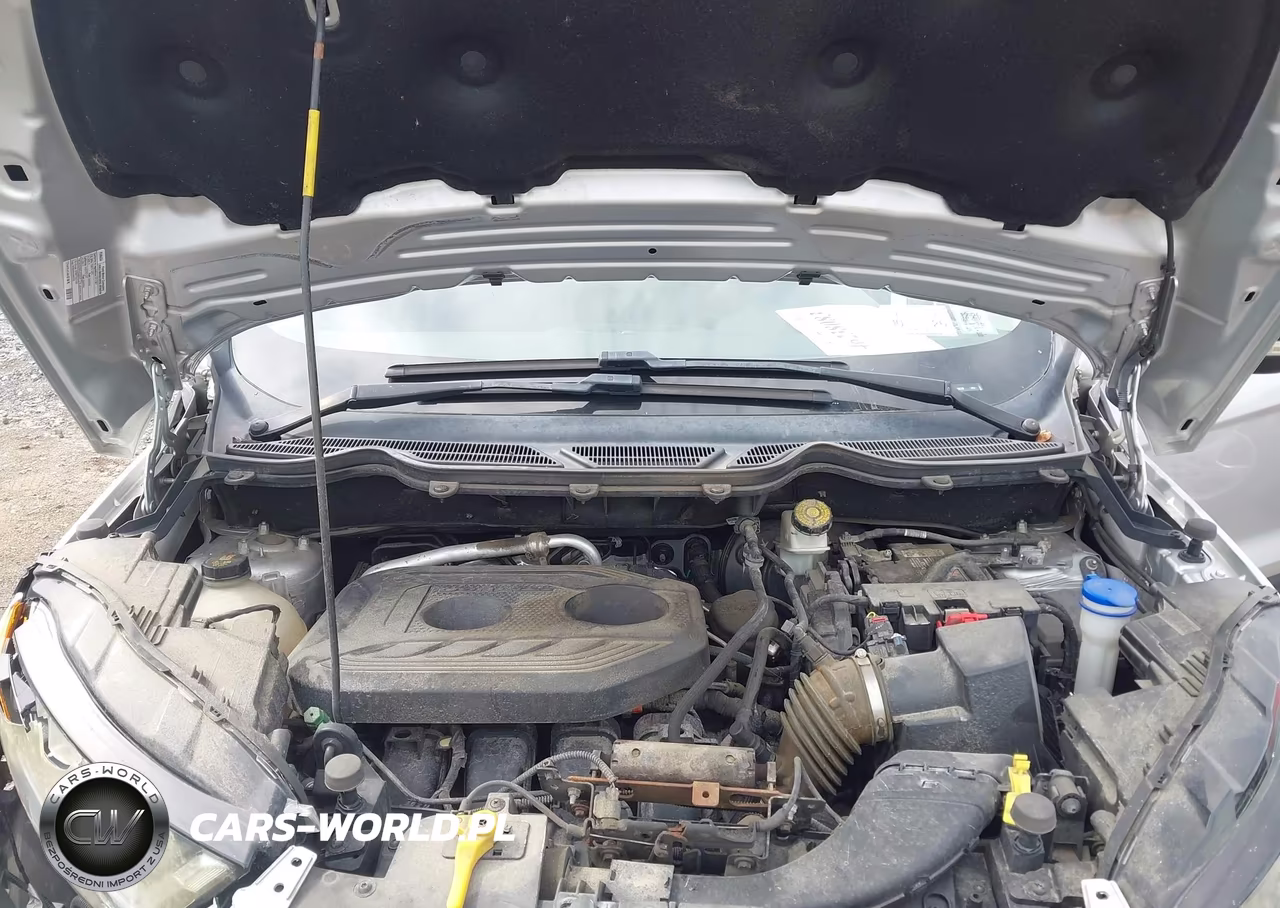2019 Ford Ecosport Ses VIN:MAJ6S3JL8KC266839 - 10