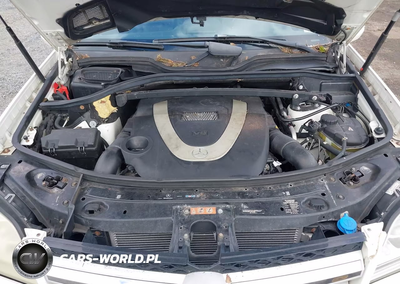2009 Mercedes-Benz Gl-Class 4.6L VIN:4JGBF71E69A496631 - 10