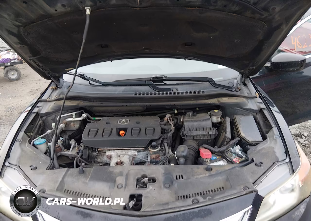 2013 Acura Ilx 2.0L VIN:19VDE1F54DE007423 - 10