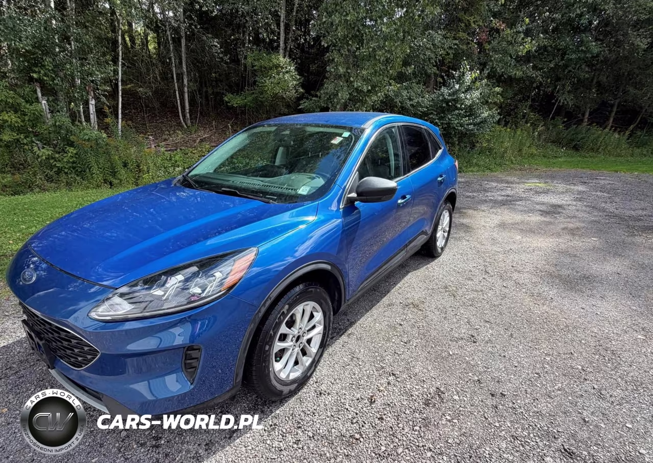 2022 Ford Escape Se VIN:1FMCU9G68NUB10242 - 2
