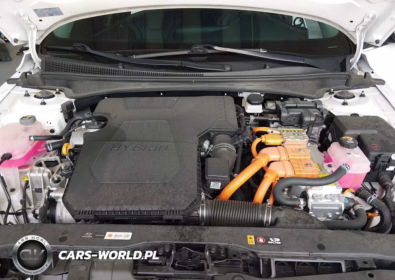 2024 Hyundai Elantra Hybrid Limited VIN:KMHLN4DJ1RU112428 - 10