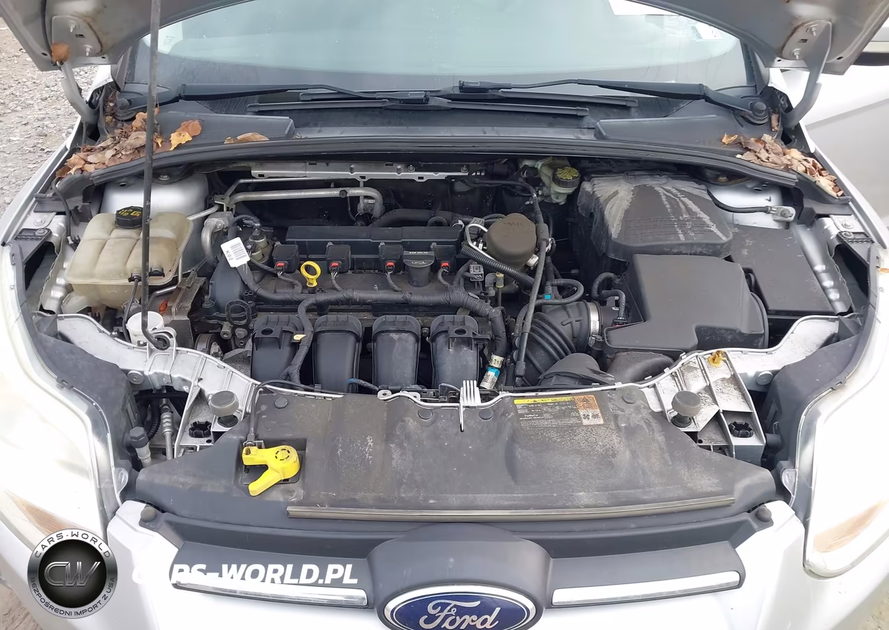 2014 Ford Focus Se VIN:1FADP3F24EL212094 - 10