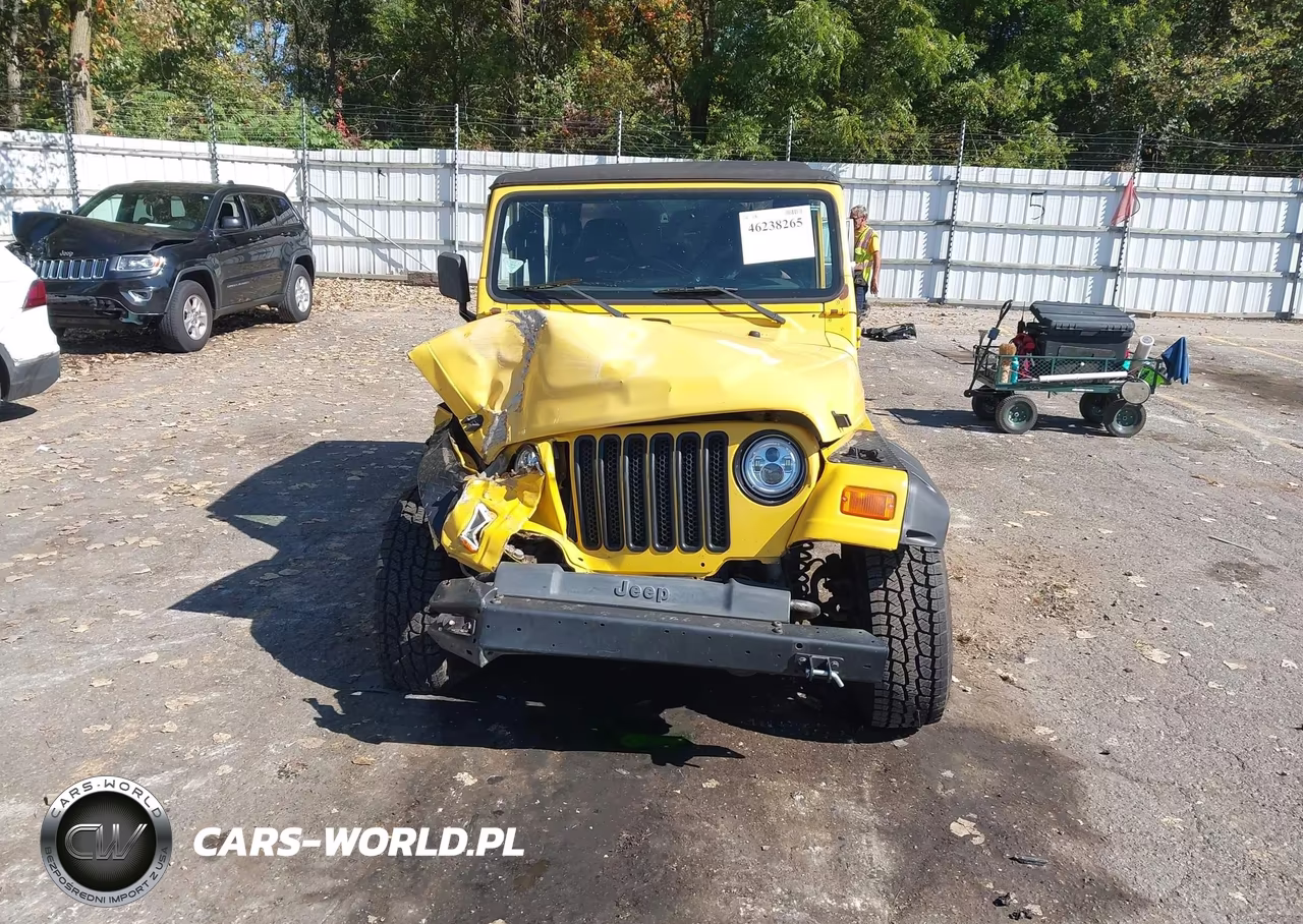2001 Jeep Wrangler Se VIN:1J4FA29P91P314395 - 12