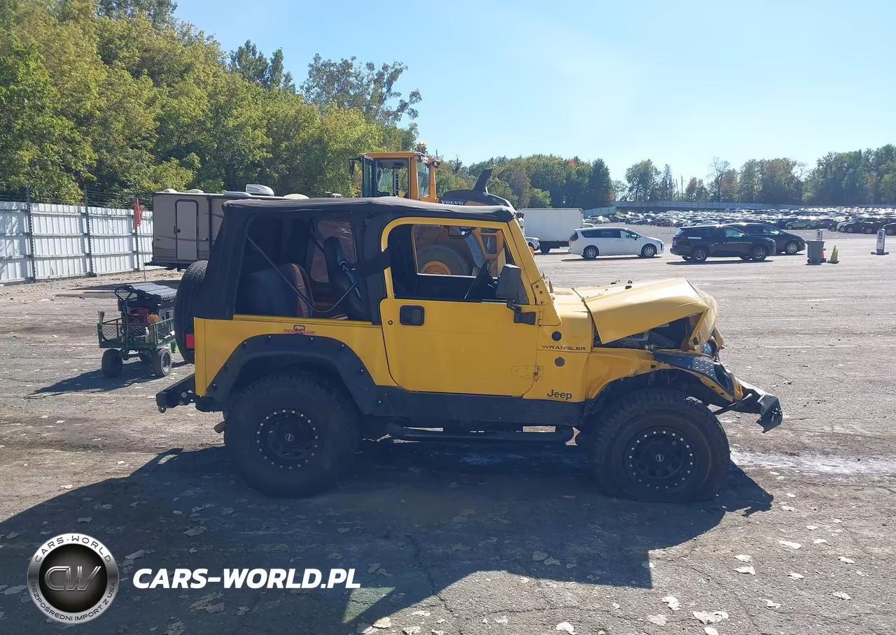 2001 Jeep Wrangler Se VIN:1J4FA29P91P314395 - 13