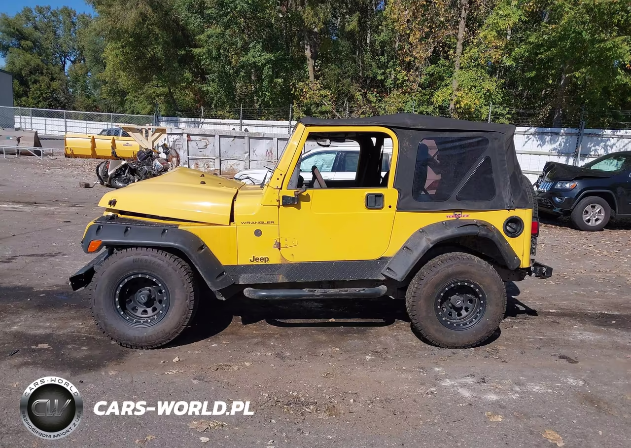2001 Jeep Wrangler Se VIN:1J4FA29P91P314395 - 14